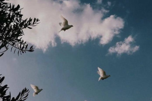 9 мая - День Победы